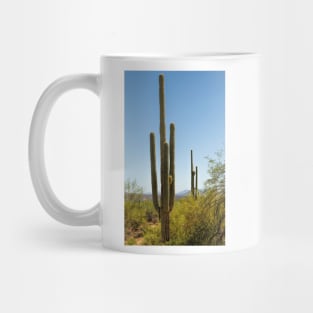 Weavers Needle Mug